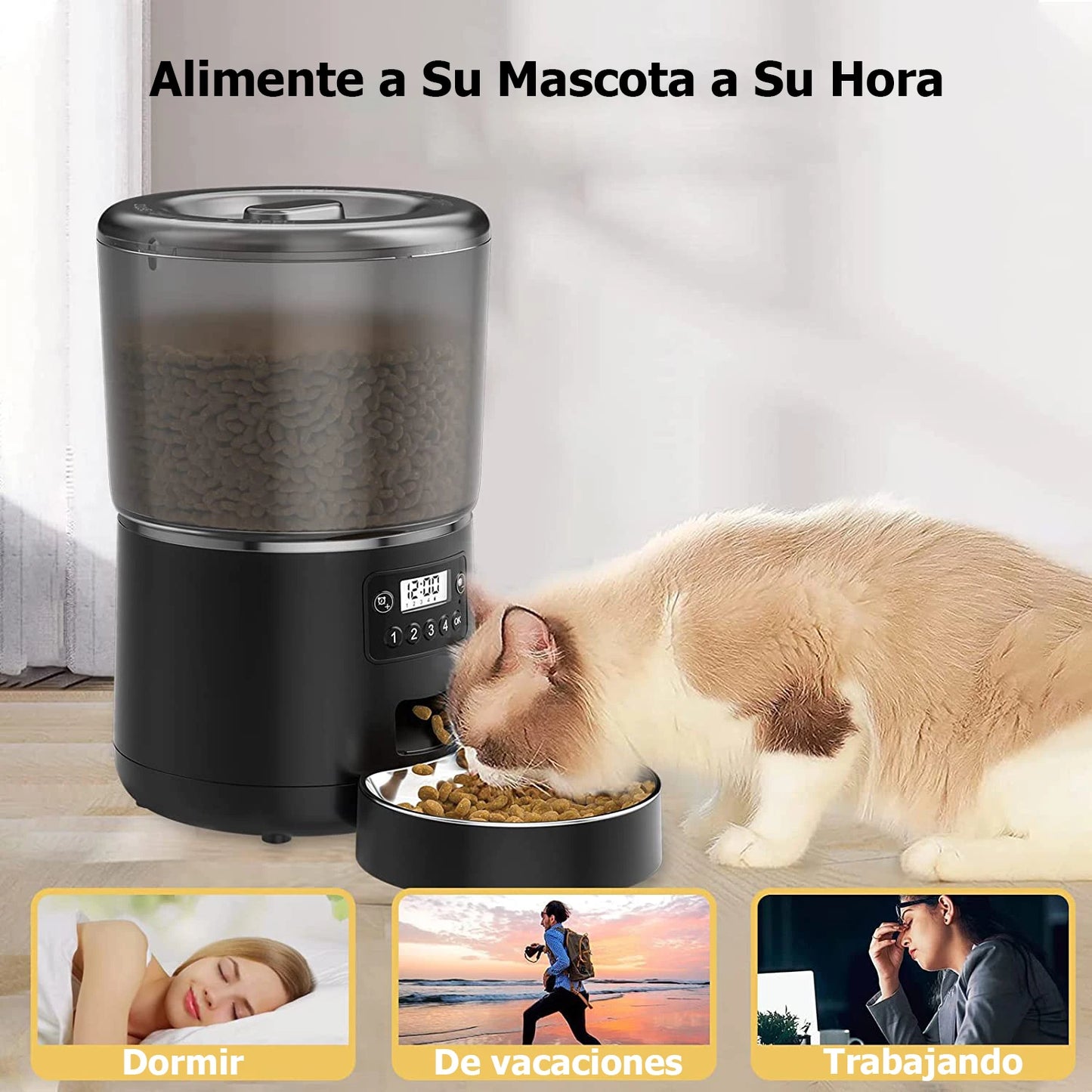 No more waste or missed meals with the 4L Smart Pet Food Feeder